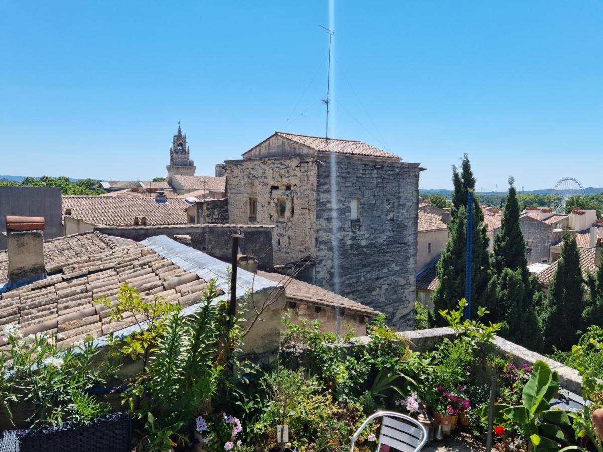 Un Nid Sur Les Toits Face Au Palais Des Papes Avignon Exterior foto
