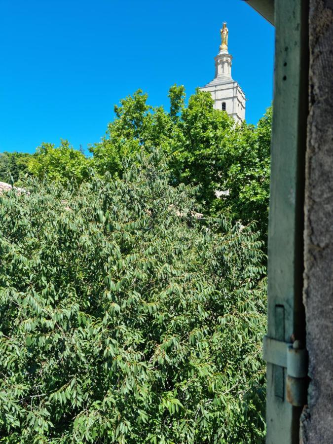 Un Nid Sur Les Toits Face Au Palais Des Papes Avignon Exterior foto