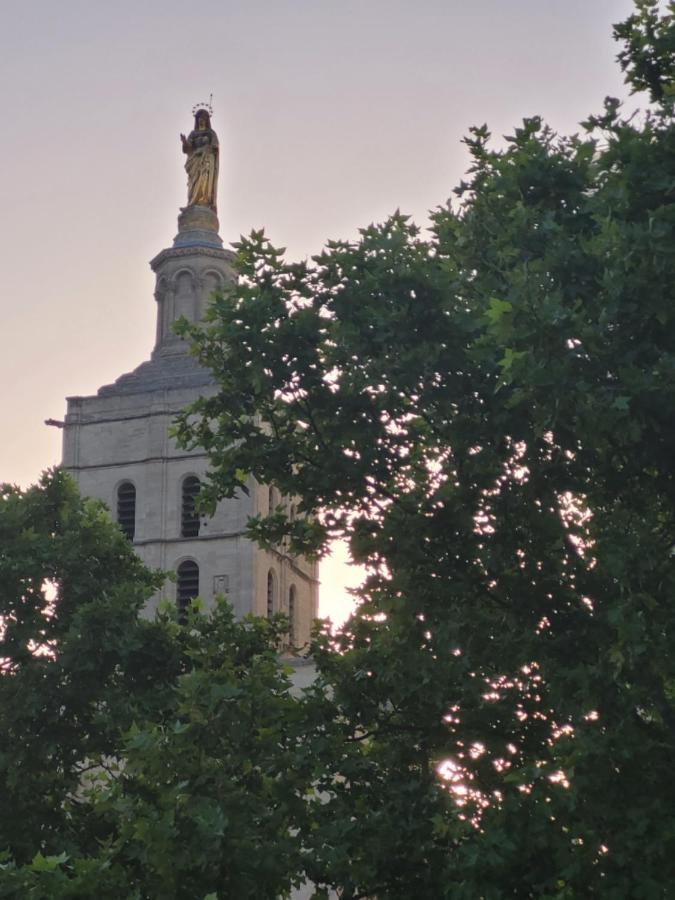 Un Nid Sur Les Toits Face Au Palais Des Papes Avignon Exterior foto