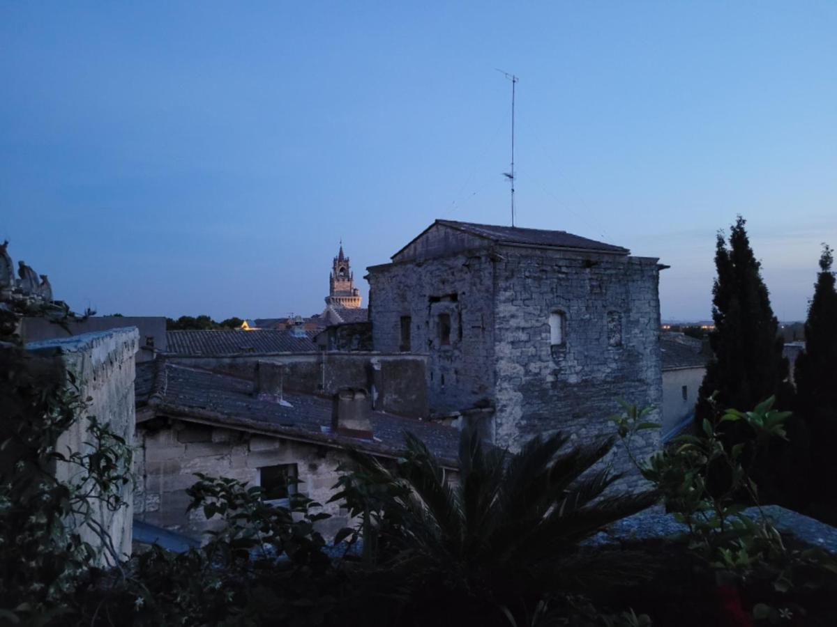 Un Nid Sur Les Toits Face Au Palais Des Papes Avignon Exterior foto