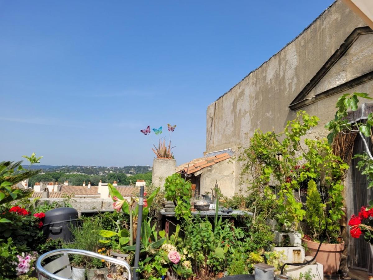 Un Nid Sur Les Toits Face Au Palais Des Papes Avignon Exterior foto