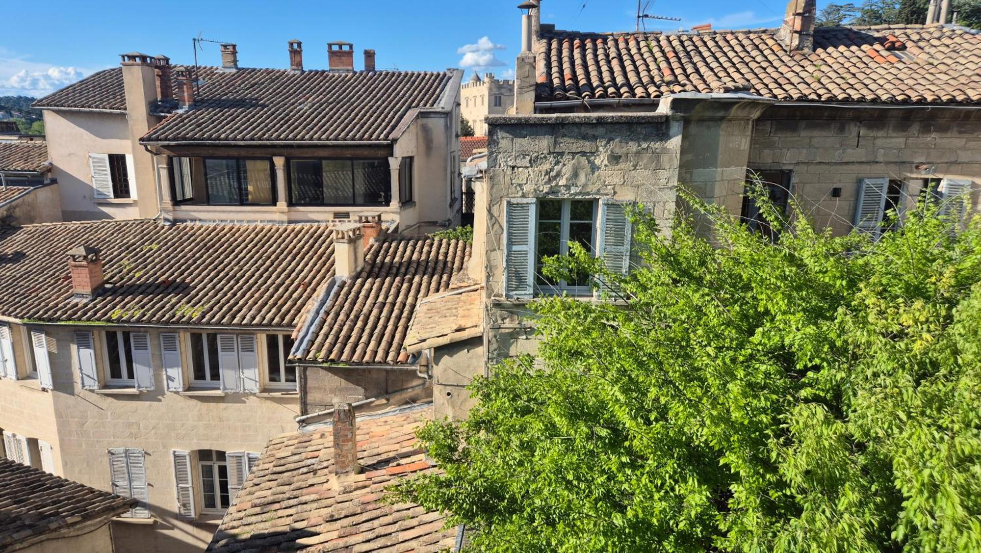 Un Nid Sur Les Toits Face Au Palais Des Papes Avignon Exterior foto